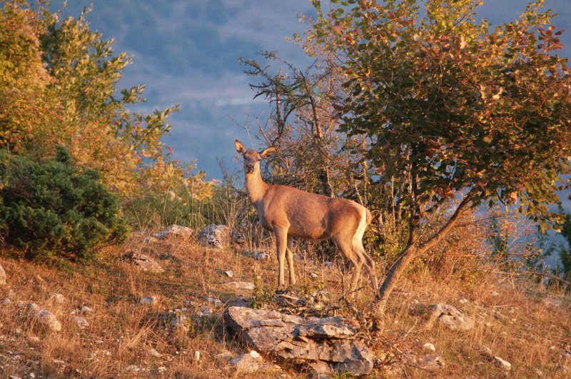 Equinozio d''autunno